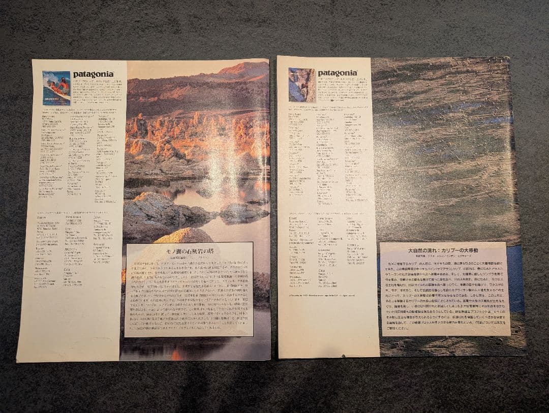 「.」パタゴニアカタログ一式