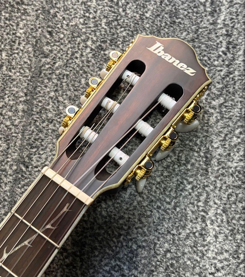 ibanez TOD10N ティム・ヘンソン　新ロゴ　エレガット