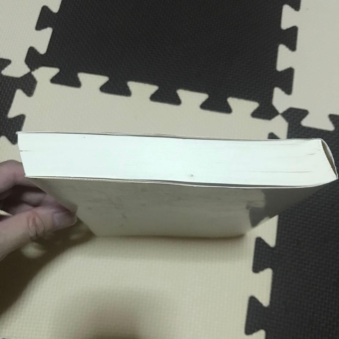 相似象学会誌　相似象　第１５号