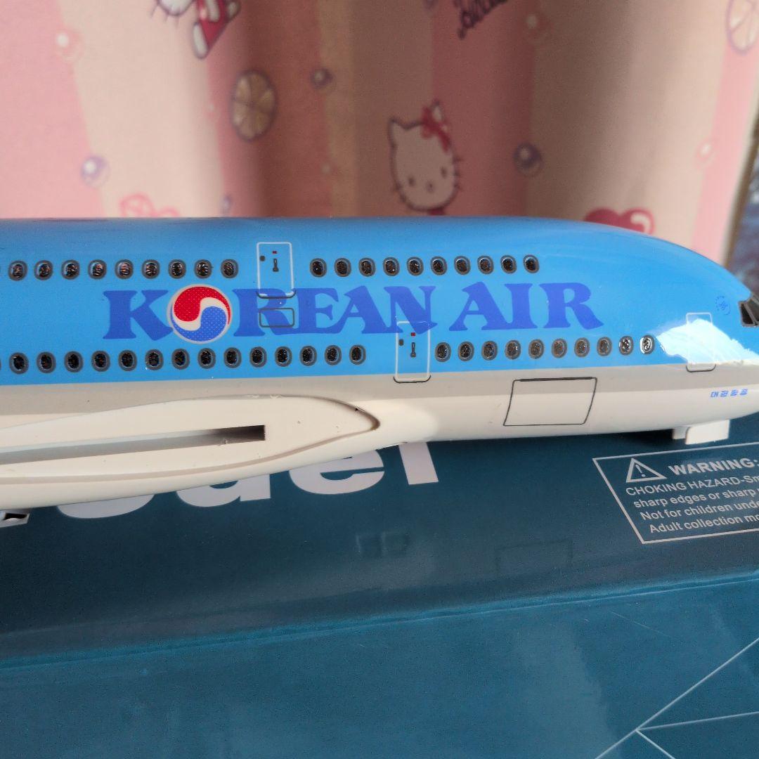 韓国旅客機約50cm