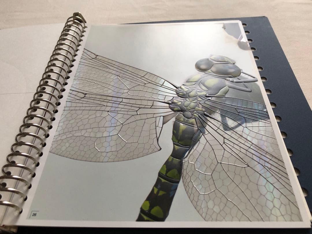 ［完全非売品］美品見本帳 ツジカワ東京デザインセンター