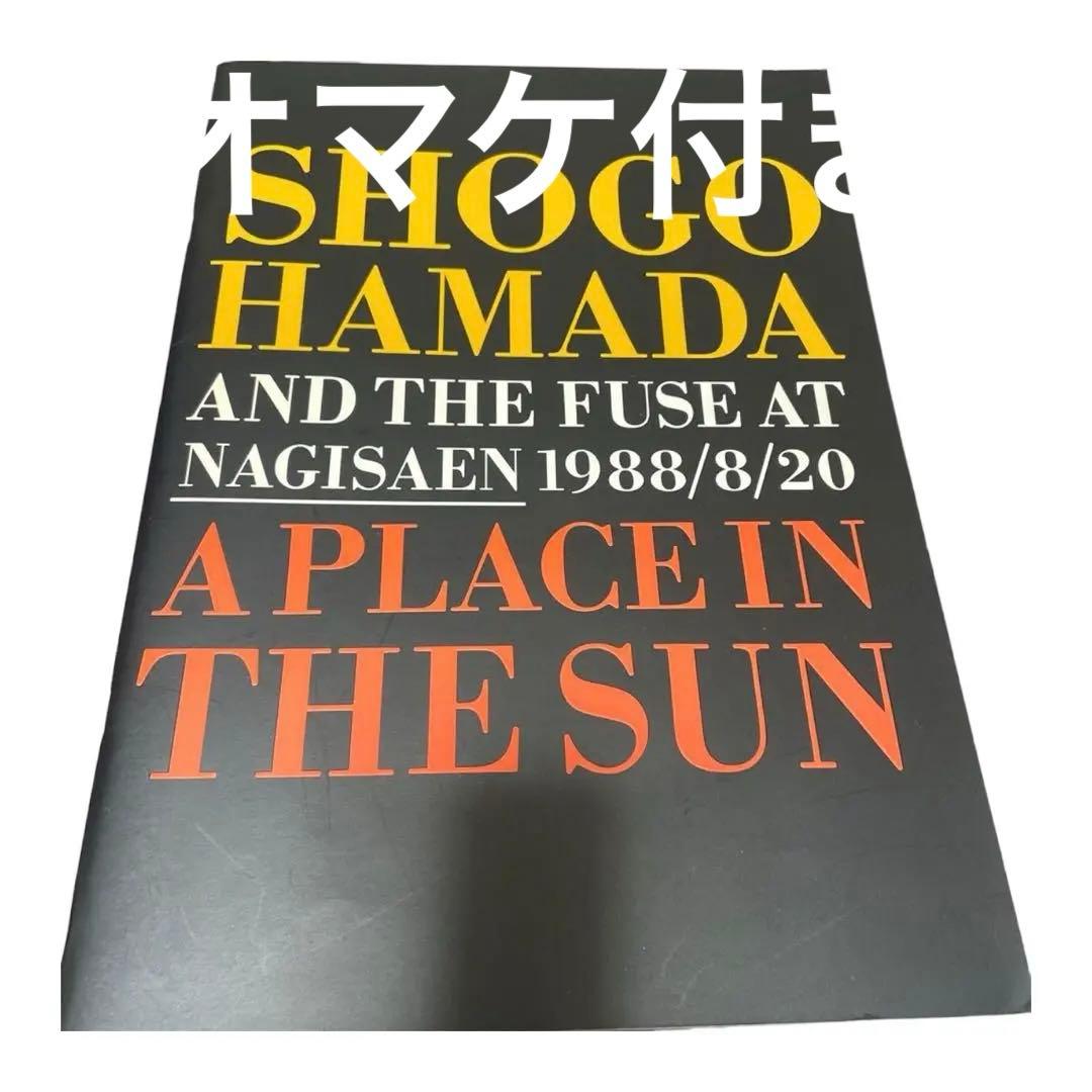 浜田省吾　渚園1988 A PLACE IN THE SUN パンフレットとLD