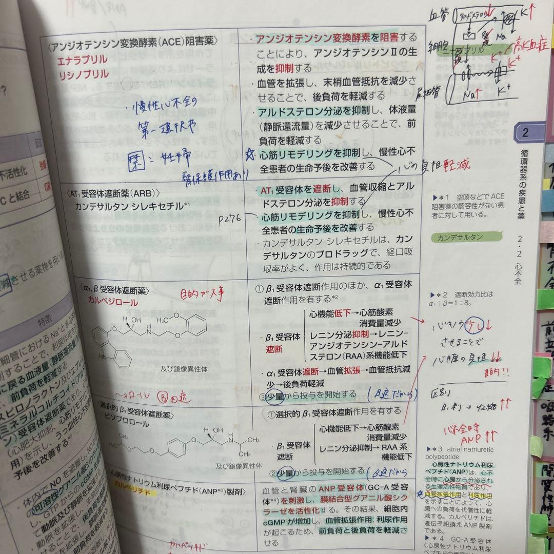 薬剤師国家試験110回対策　青本青門全セット