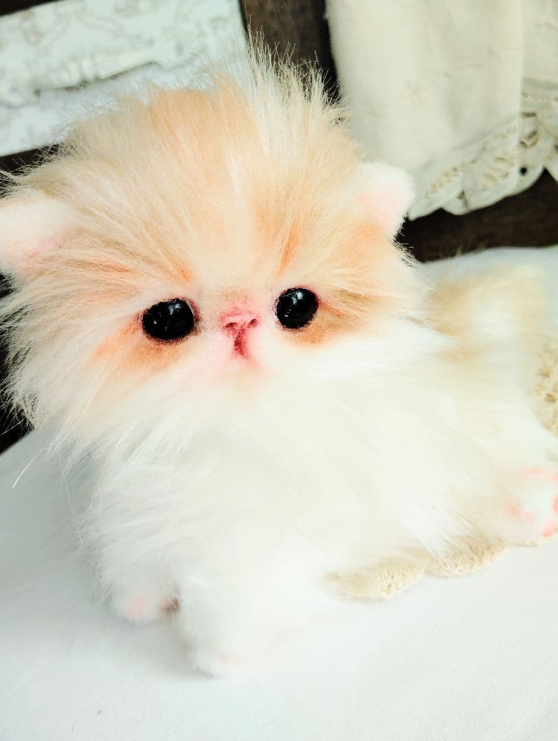 子猫のメイちゃん♡エキゾチックロングヘア♡アートドール♡ぬいぐるみ♡