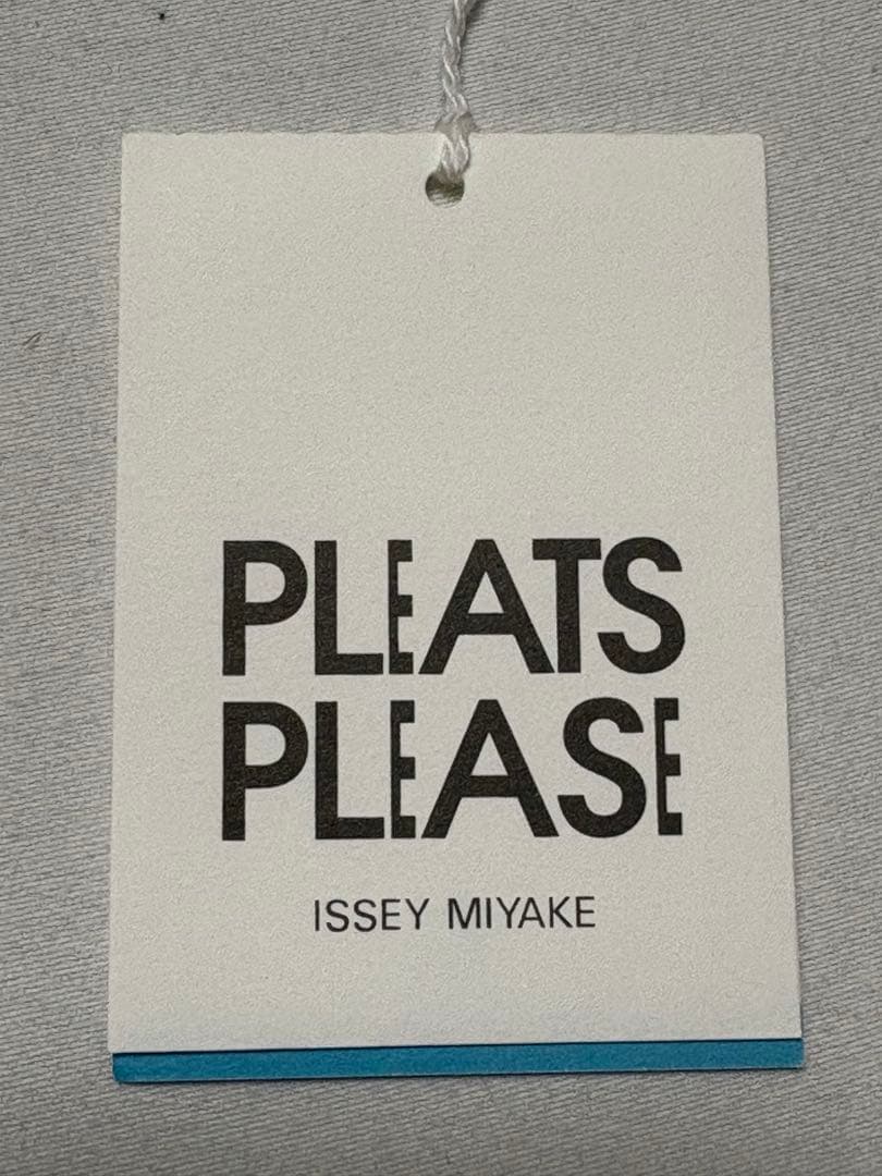 近年モデル　25SS 極美品PLEATS PLEASE LAMP SHADE