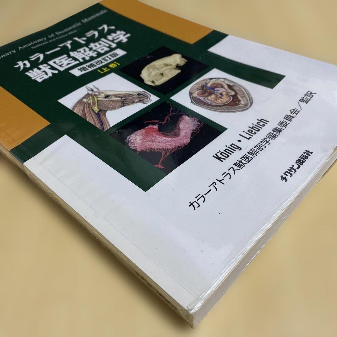 値下げ中 カラーアトラス 獣医解剖学 上下巻 セット 増補改訂版