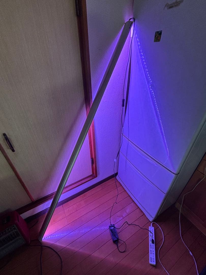 ゼンスイ　ＬＥＤ　ＰＬＵＳ　180ｃｍビューティールクス　アクリル水槽　アロワナ