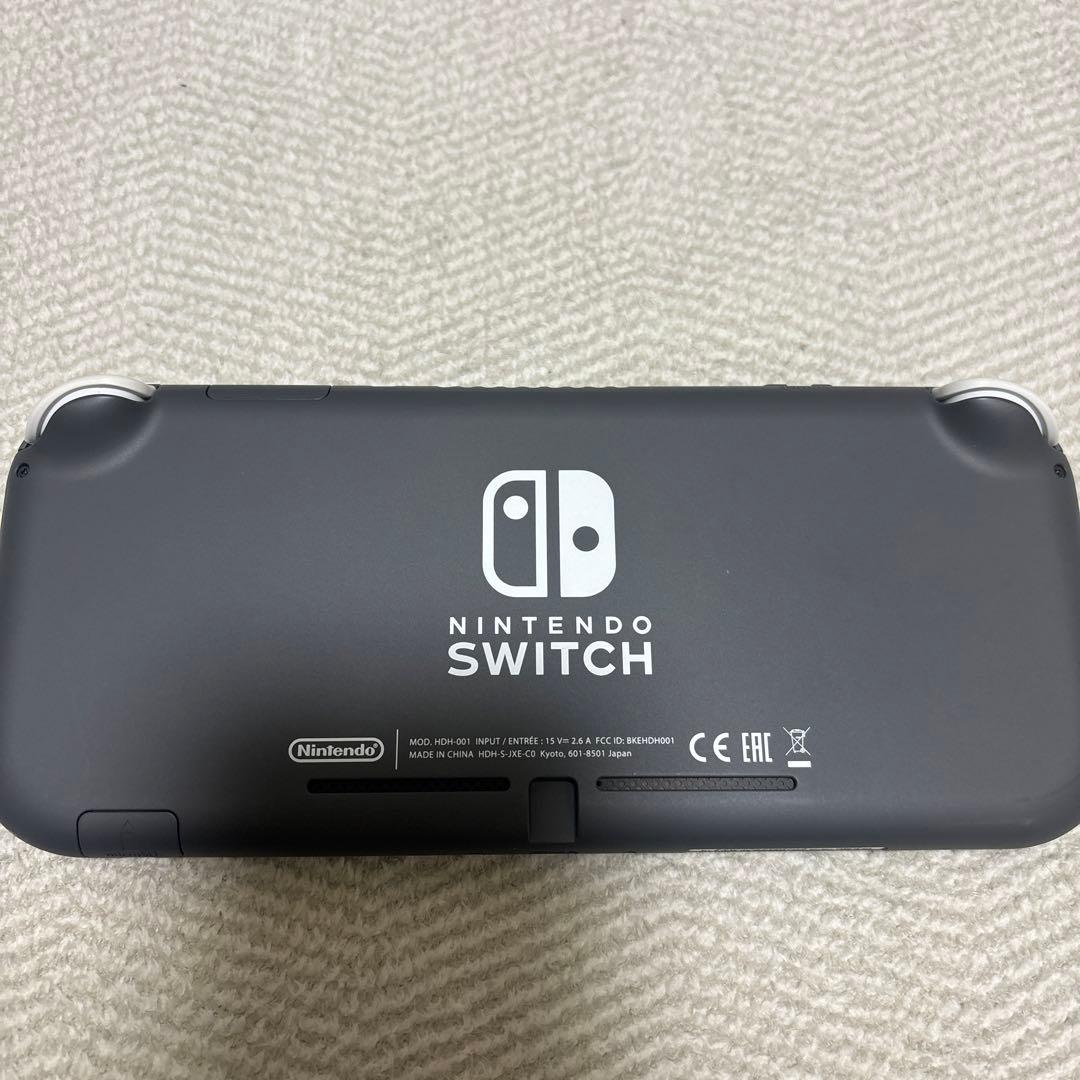 Nintendo Switch Lite 本体 充電器　モンスターハンターライズ