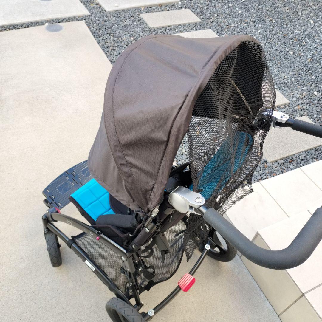 クリケットバギーサイズ2