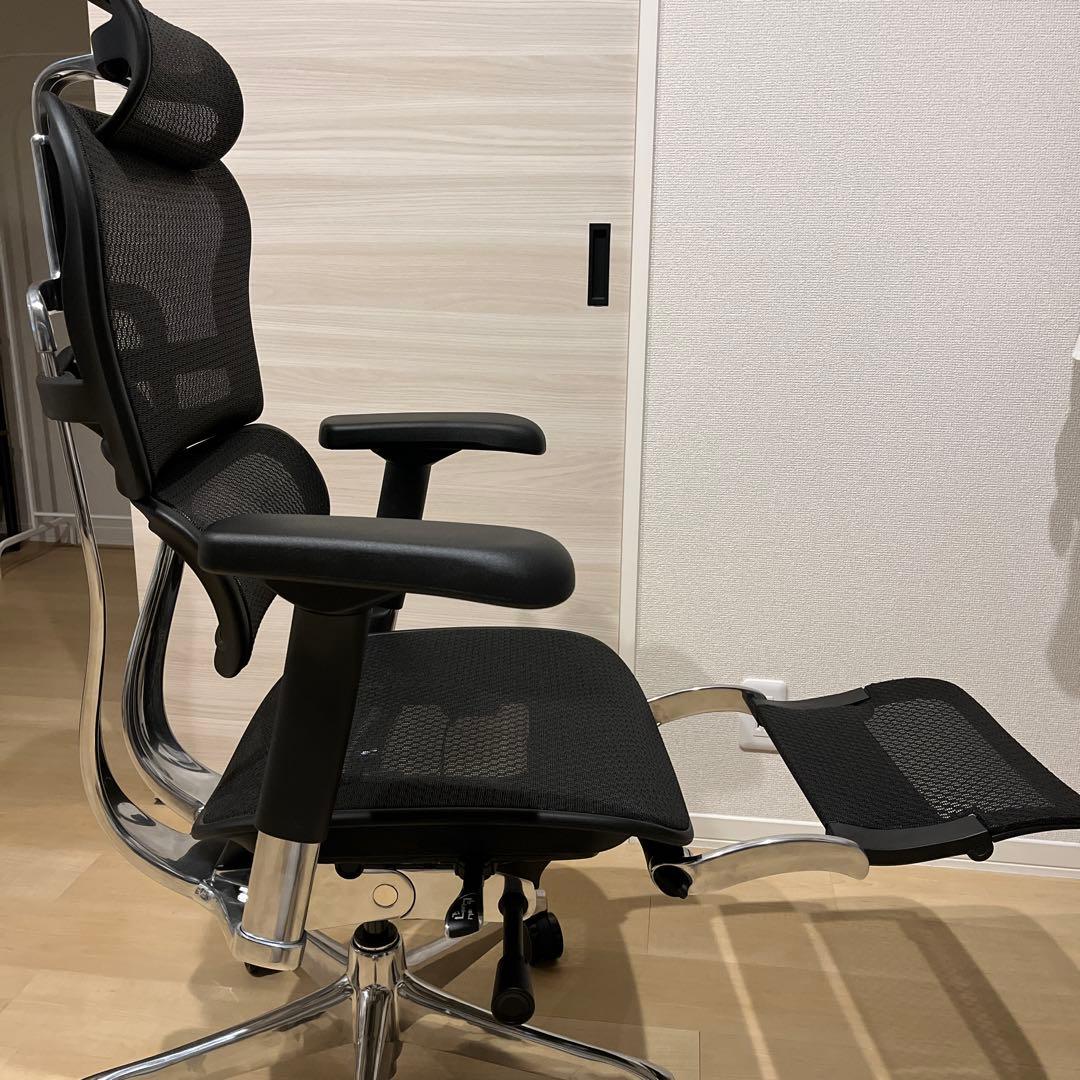 エルゴヒューマン プロ2 Ergohuman Pro2 EHP2-LPL