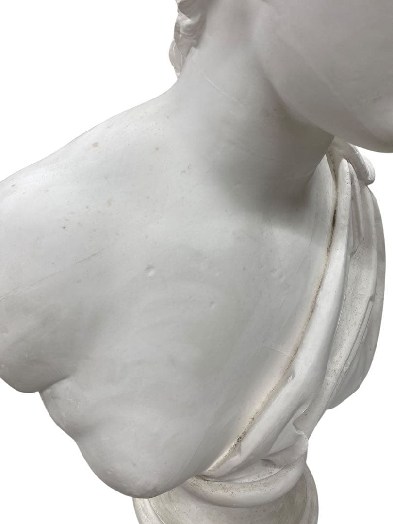 アマゾン胸像　石膏像