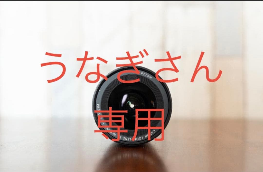 キヤノン 超広角レンズ名...EF 16-35mm F4L IS USM