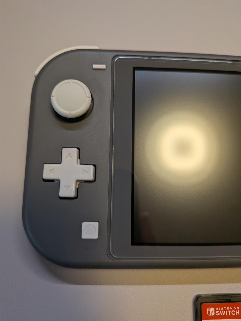 Nintendo Switch Lite グレー【SDカード・マリオRPG付】