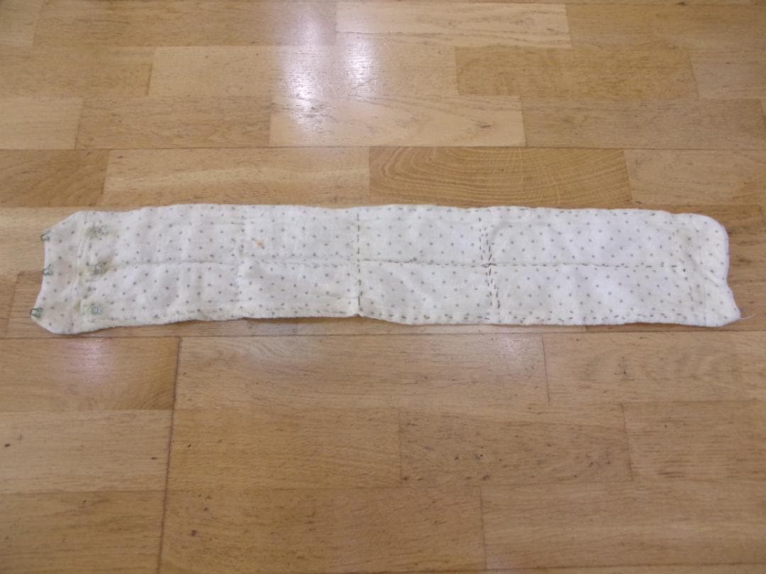 がん免疫療法／メトセラペレット　イオン化セラミックスＥＳ－２７（書籍付き）