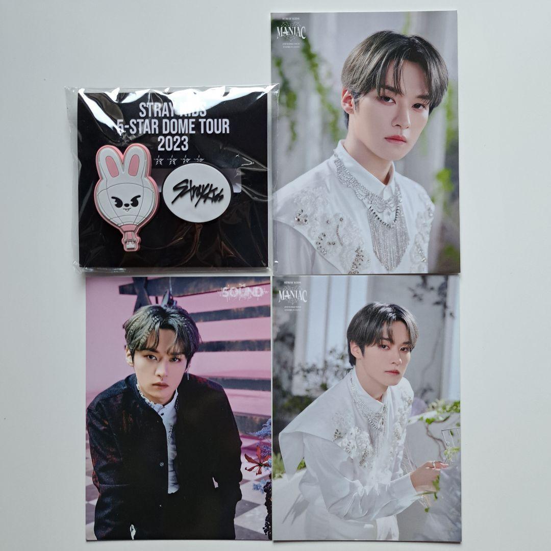 スキズ リノ トレカ ラントレ まとめ