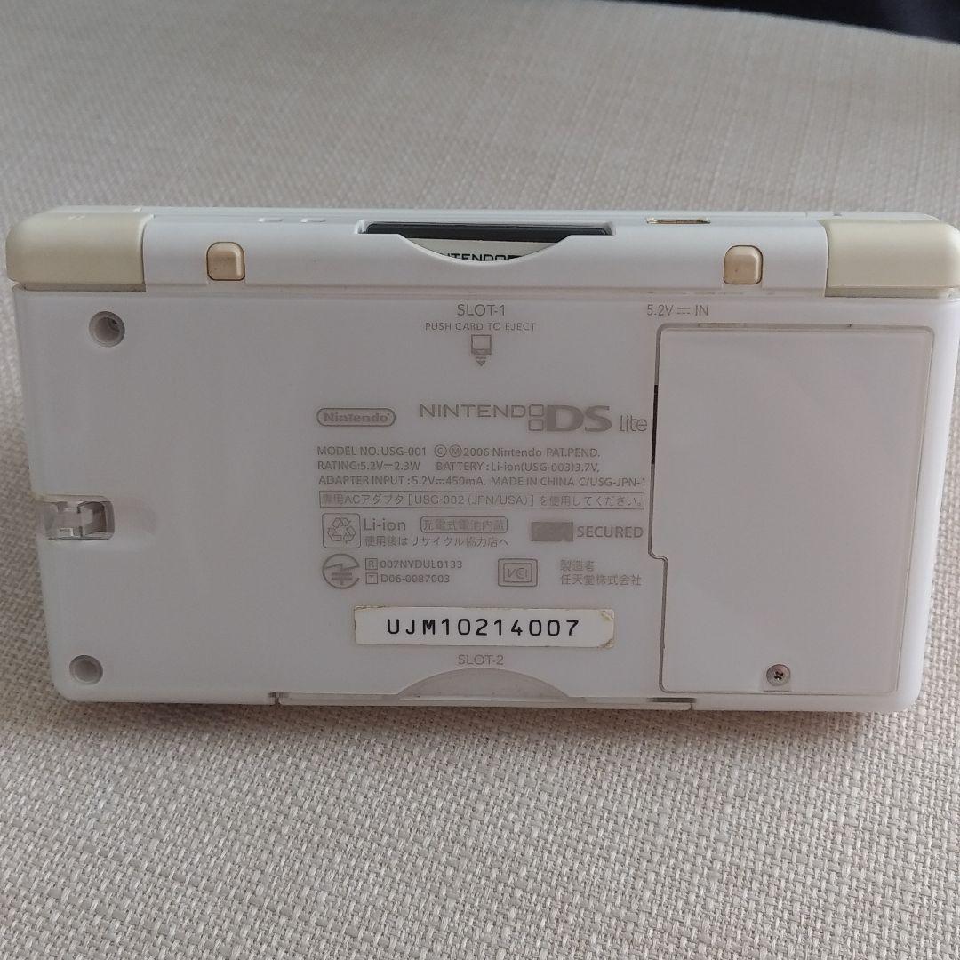 ニンテンドーDS 本体　どうぶつの森　セット