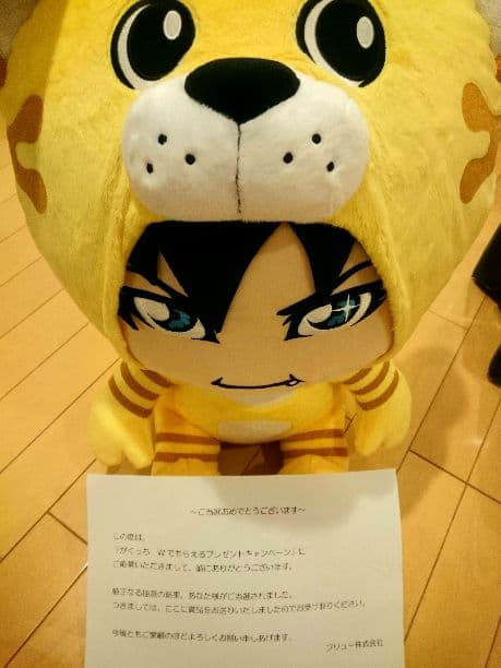 激レア☆超BICがくっち☆50cm