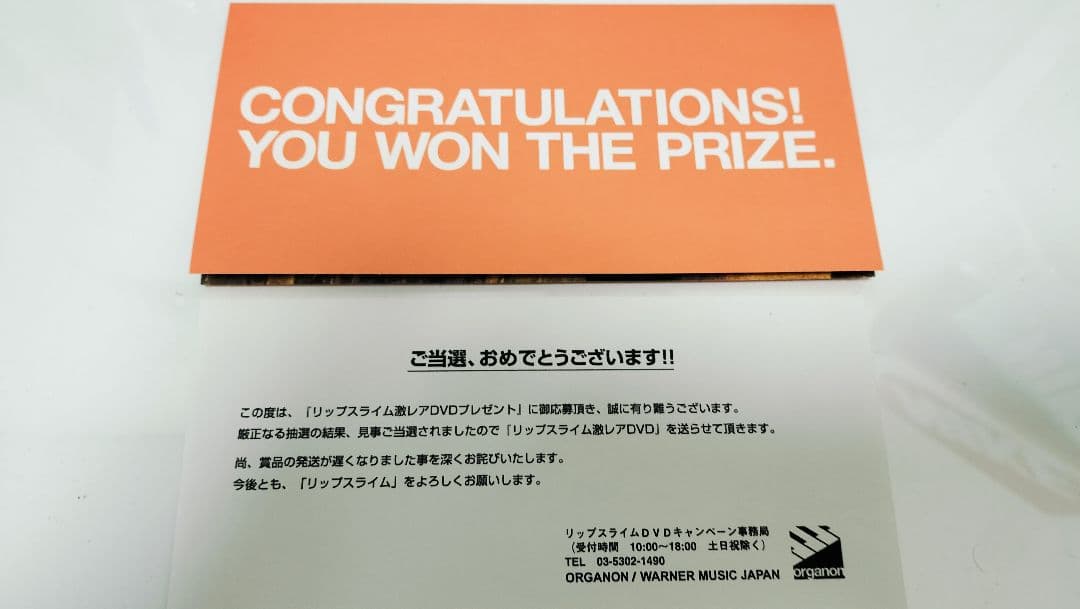 キャンペーン当選品 リップスライム 激レアDVD(非売品)