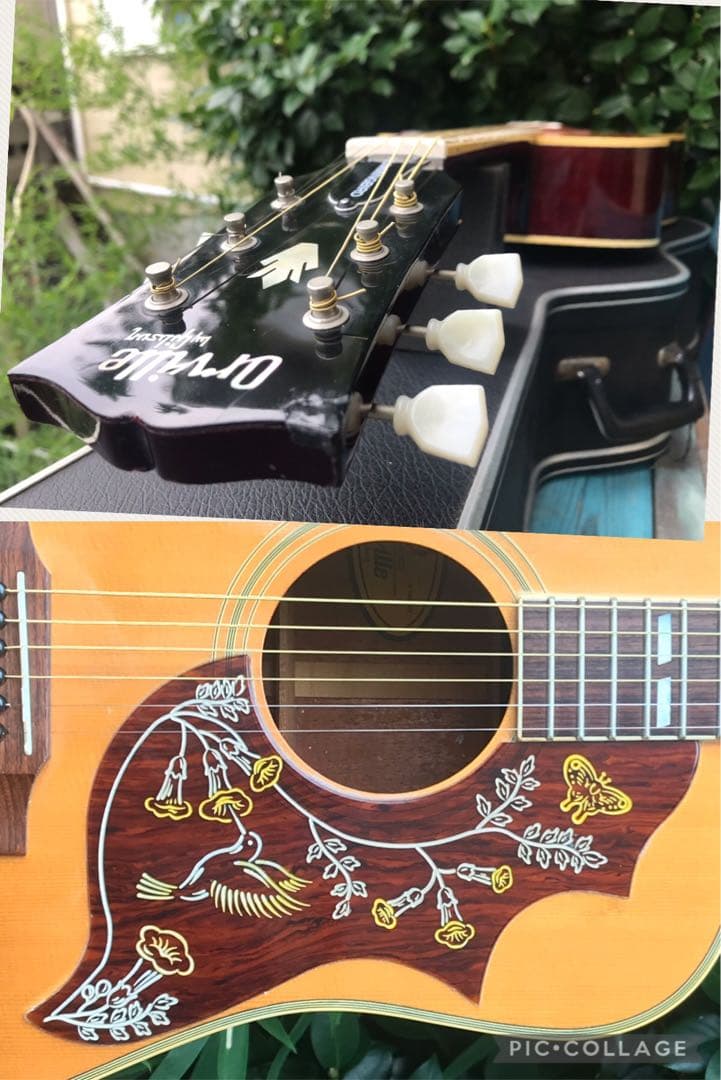 Orville by Gibson HB W/PU byギブソン