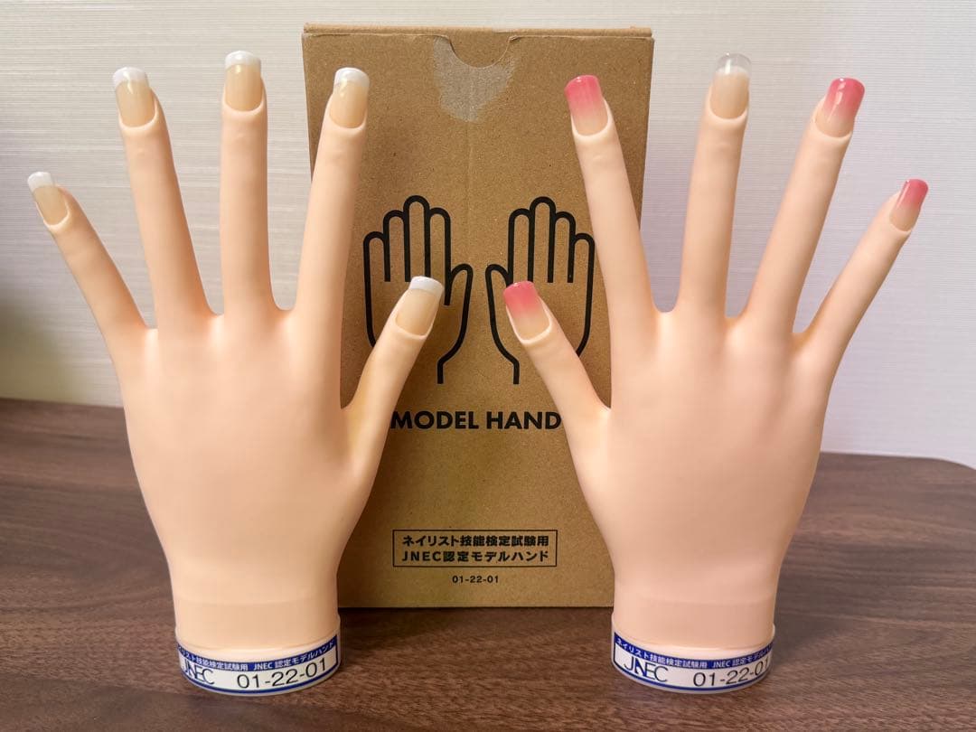 認定モデルハンド 初期 中級 三級 ニ級 ネイリスト検定セット