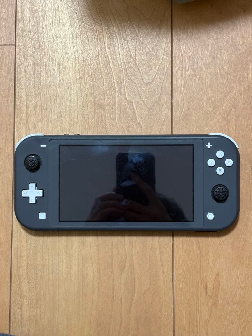 Nintendo Switch SwitchLight