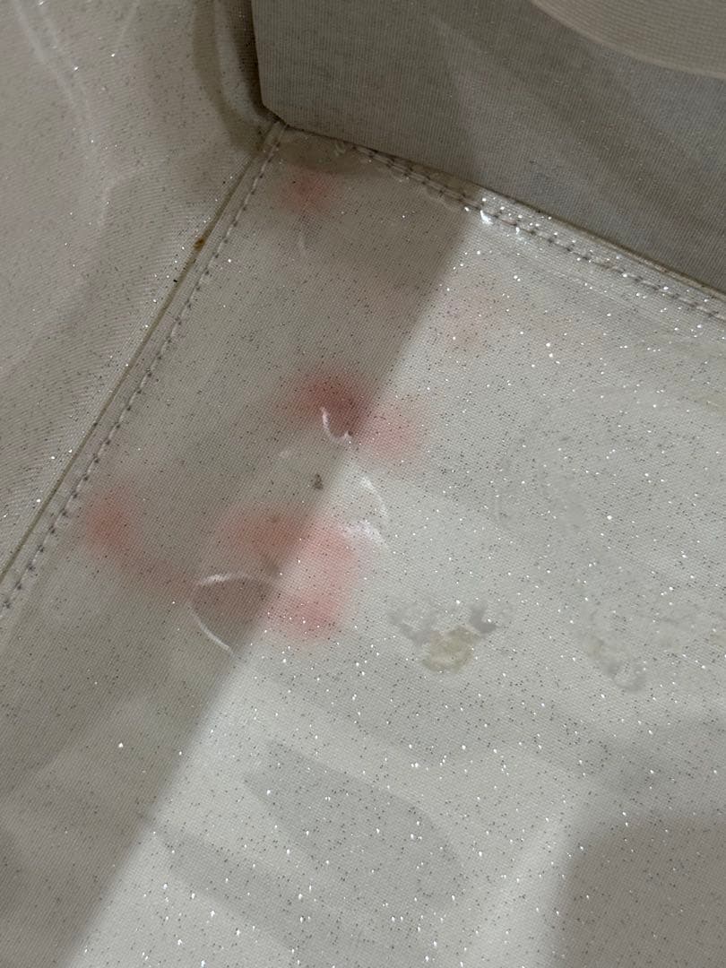 グローブトロッター　バニティ　限定　ホワイト