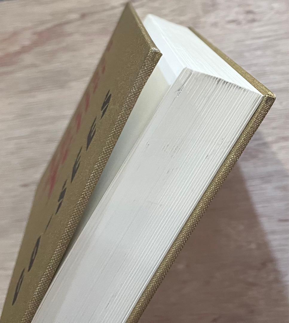 Juergen Teller GO-SEES ユルゲン・テラー　写真集　送料無料