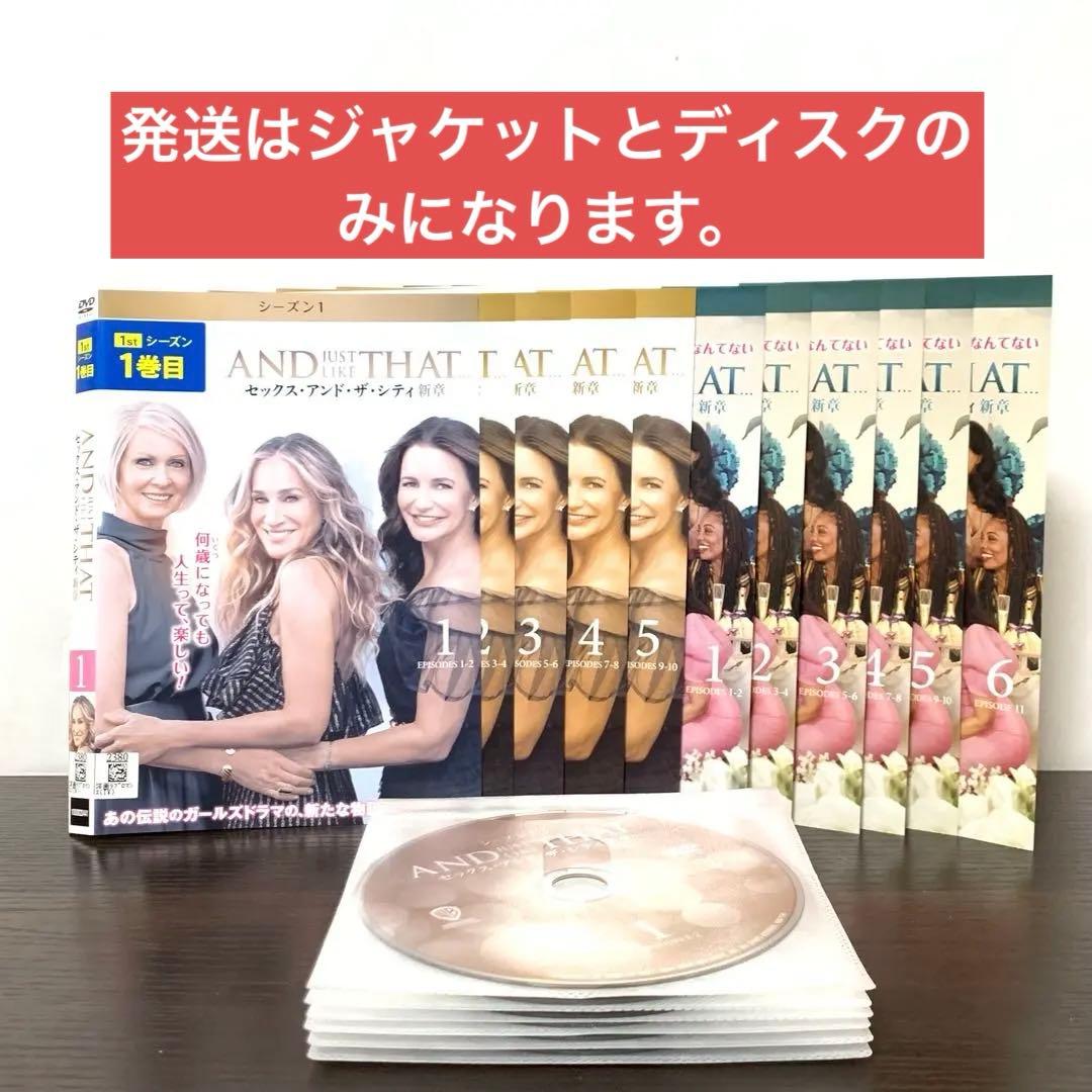 セックス・アンド・ザ・シティ　新章　DVD 全巻（シーズン1＋2)計11枚セット