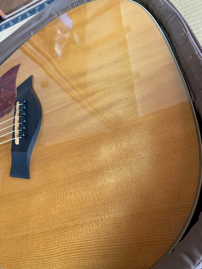 Taylor ギター エレアコ 210ce