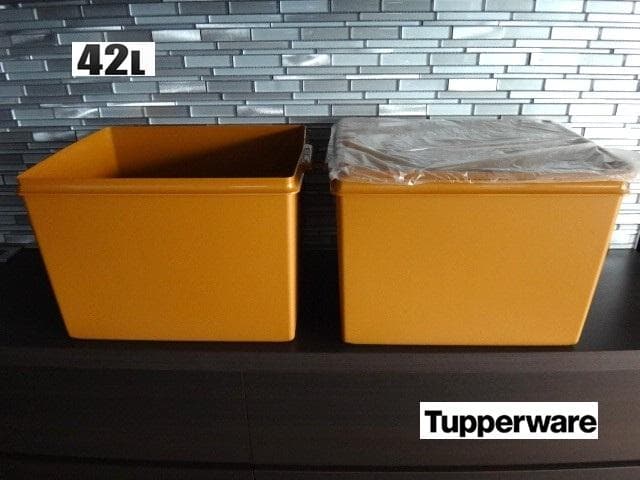 新品★タッパーウェア★2点セット★ウルトラディープスーパーケース★42リットル