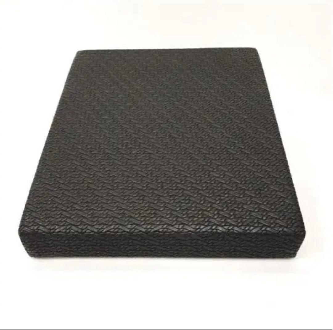 【ほぼ新品】SANTE PLUS flexcushion フレックスクッション