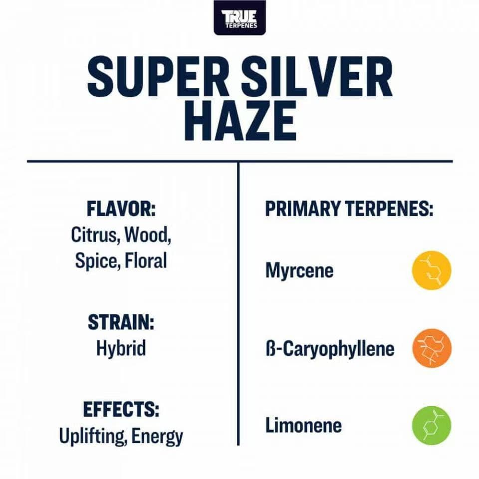 TRUE テルペン CBD CBN CBG 10ml スーパーシルバーヘイズ