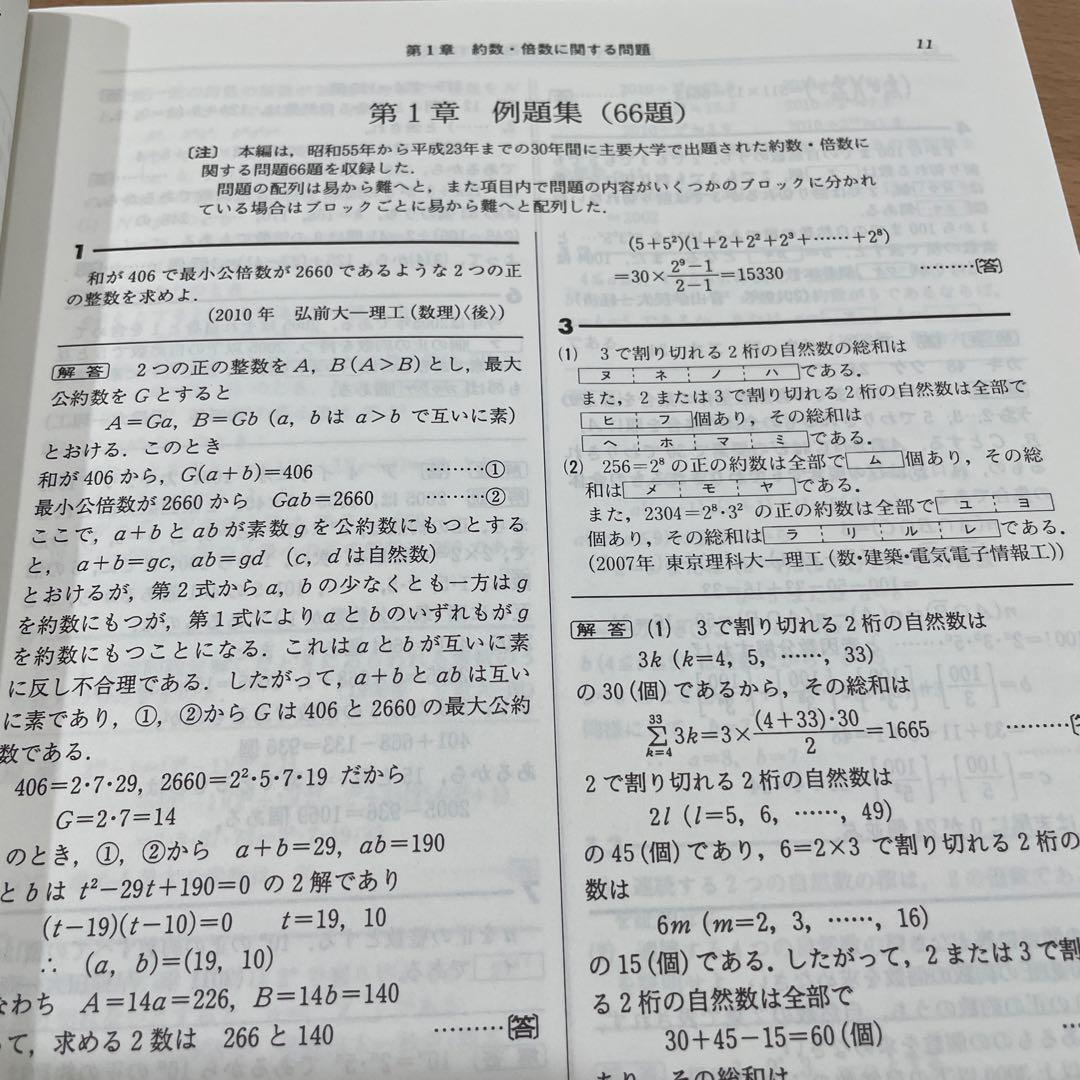 整数問題の解法研究