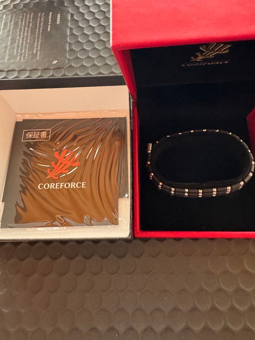 COREFORCE ブラックネックレス　70cm