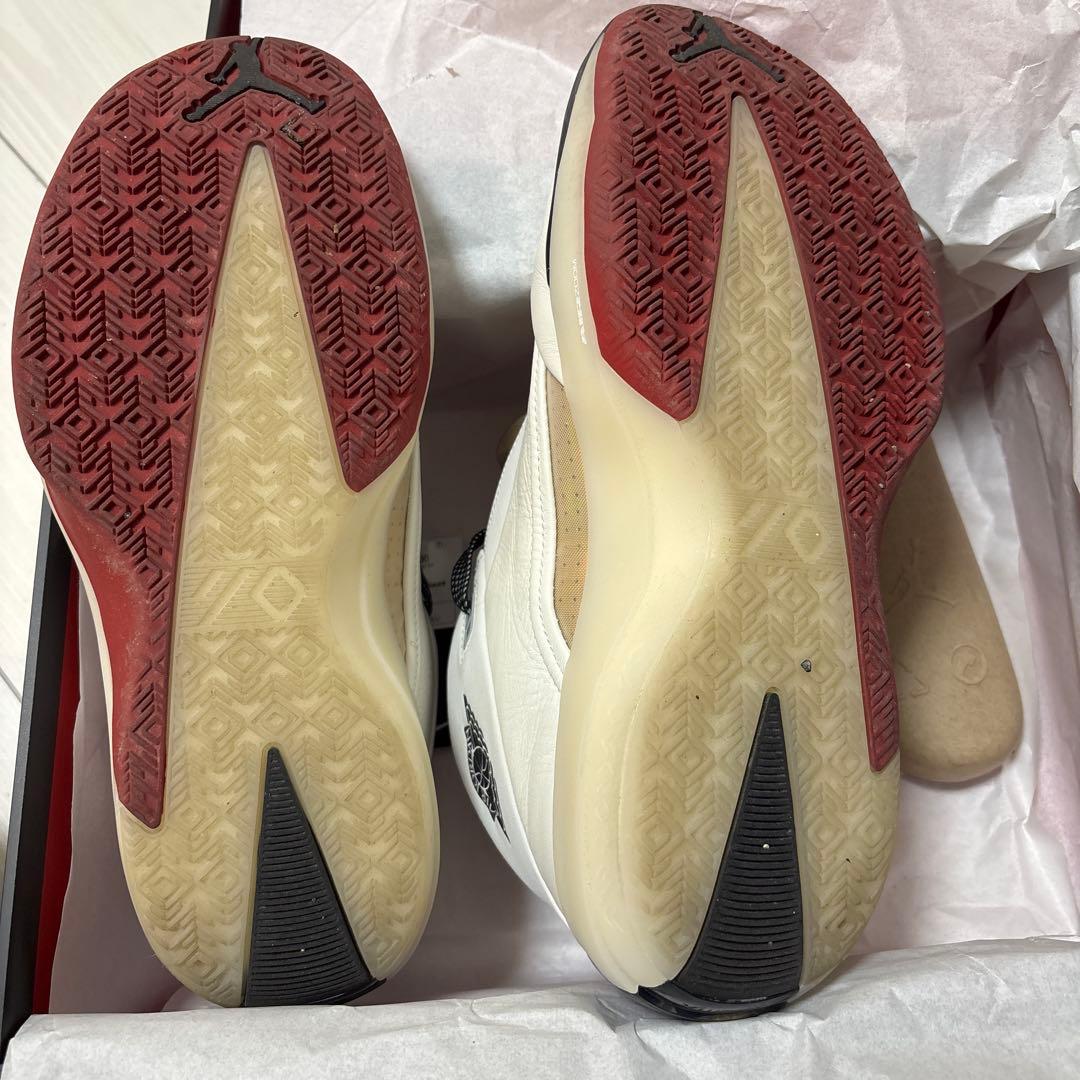 Air Jordan 40 シカゴ PF