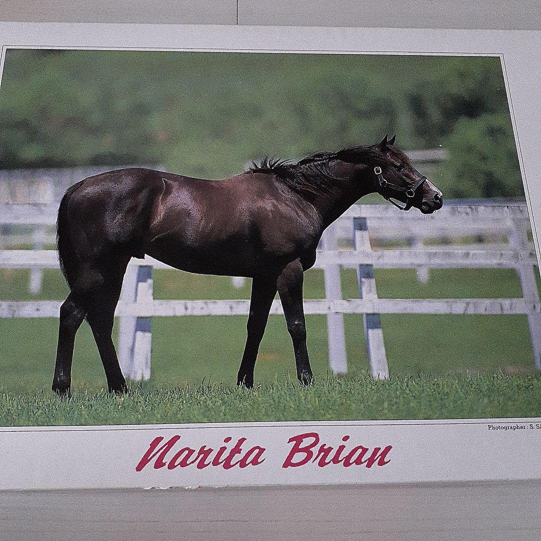 【希少美品】ジグソーパズル ヒストリーオブホース ナリタブライアン 500ピース