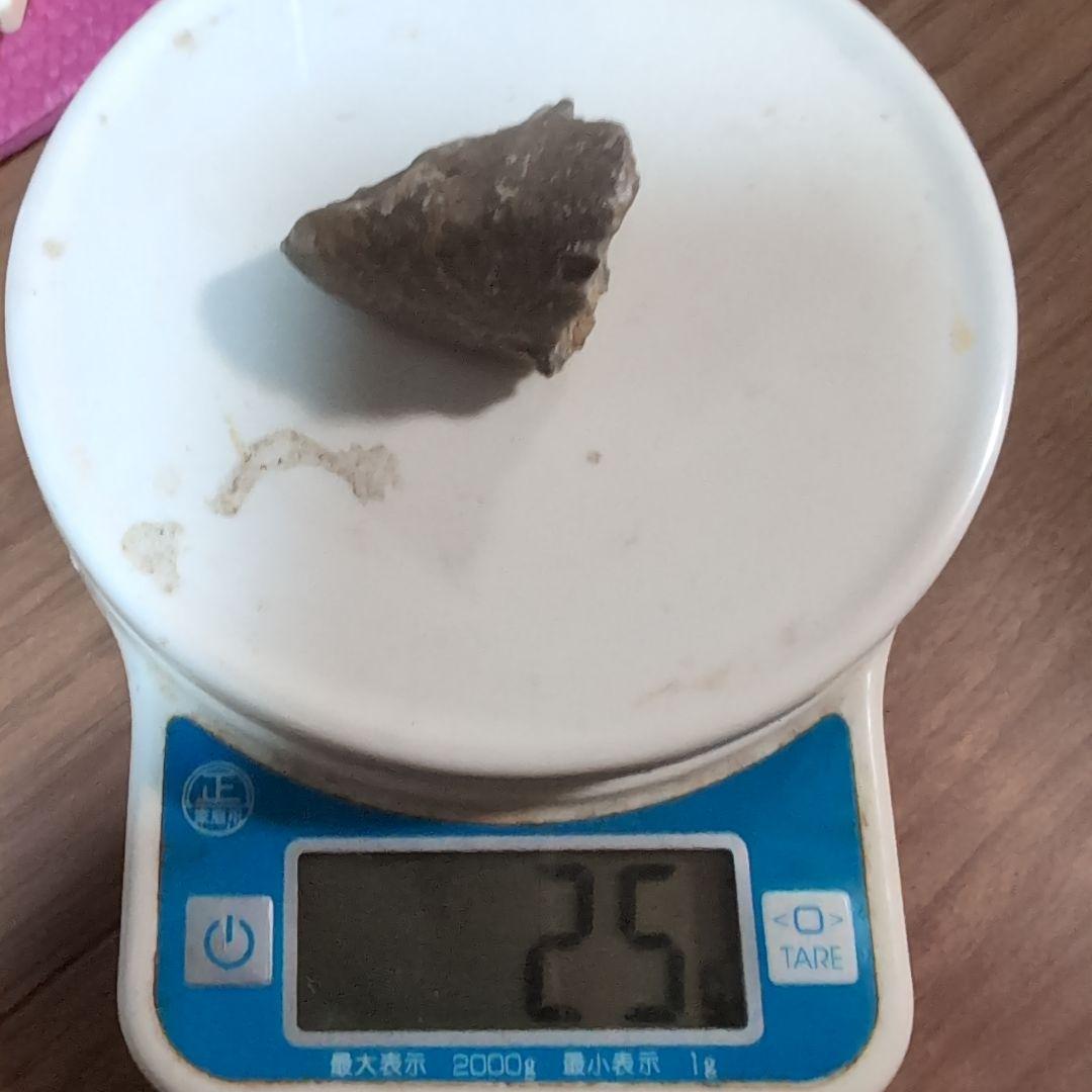 本物　恐竜の歯　内部水晶化　モササウルス?　25グラム