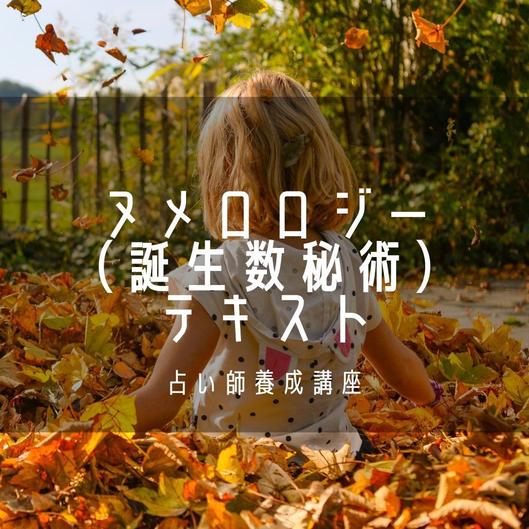 ★心の旅: レイキ・ヒプノ・数秘術セット★スピリチュアルリーダー上級コース★