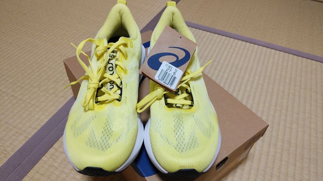 ASICS　ノヴァブラスト５　 27.5㎝　新品、未使用