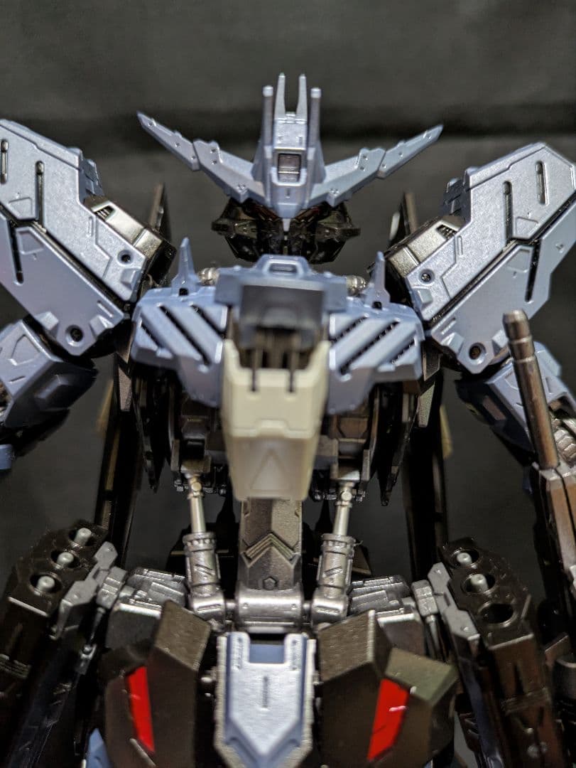 1/100 MG ガンダムヴィダール