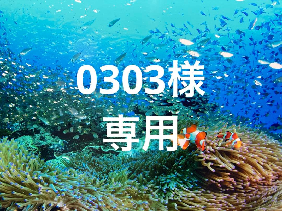 エンビロンダーマラックローション　Cクエンスクリームプラス