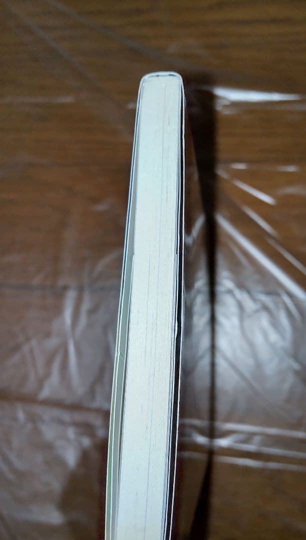 ツルツルちゃん　仙田学