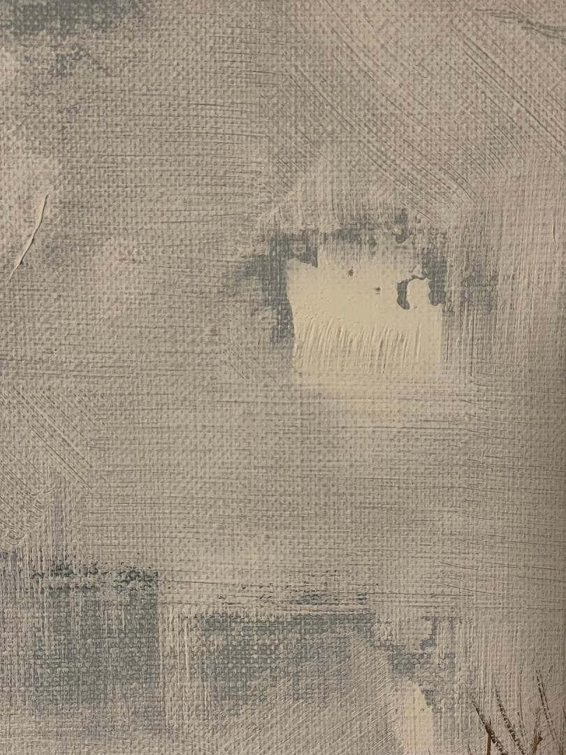 い*ん様 「真作」竹内敏彦『パリ風景 セーヌの流る』 風景画　油彩画　額装　F1