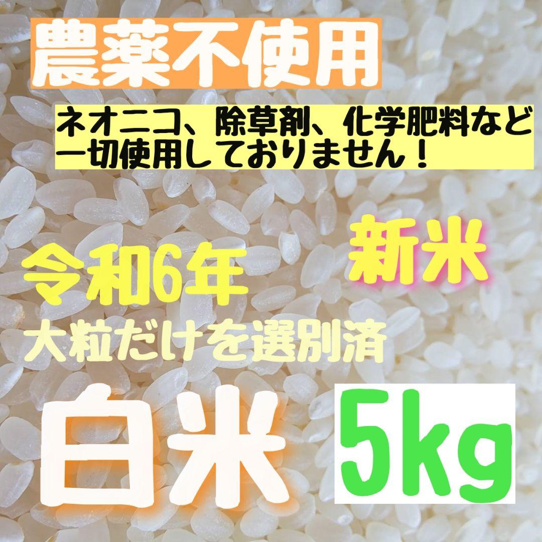 在庫残りわずか【綺麗な大粒揃い】農薬不使用 無化学肥料 ヒノヒカリ白米 5kg