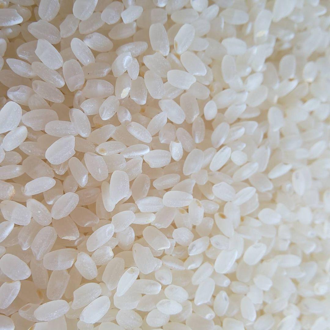 在庫残りわずか【綺麗な大粒揃い】農薬不使用 無化学肥料 ヒノヒカリ白米 5kg