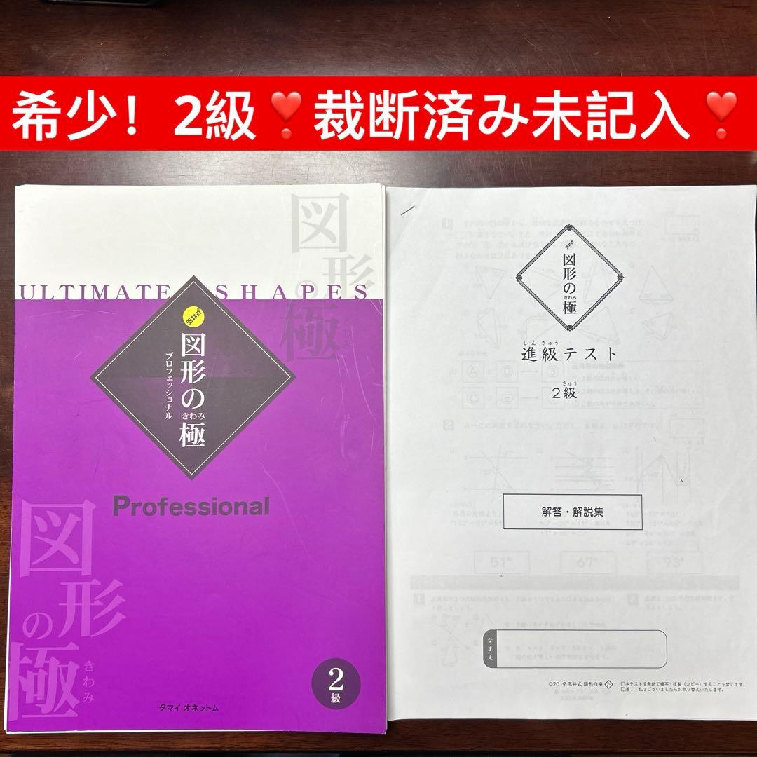 希少未記入❣️ 図形の極み　図形のきわみ　プロフェッショナル　2級　裁断済み