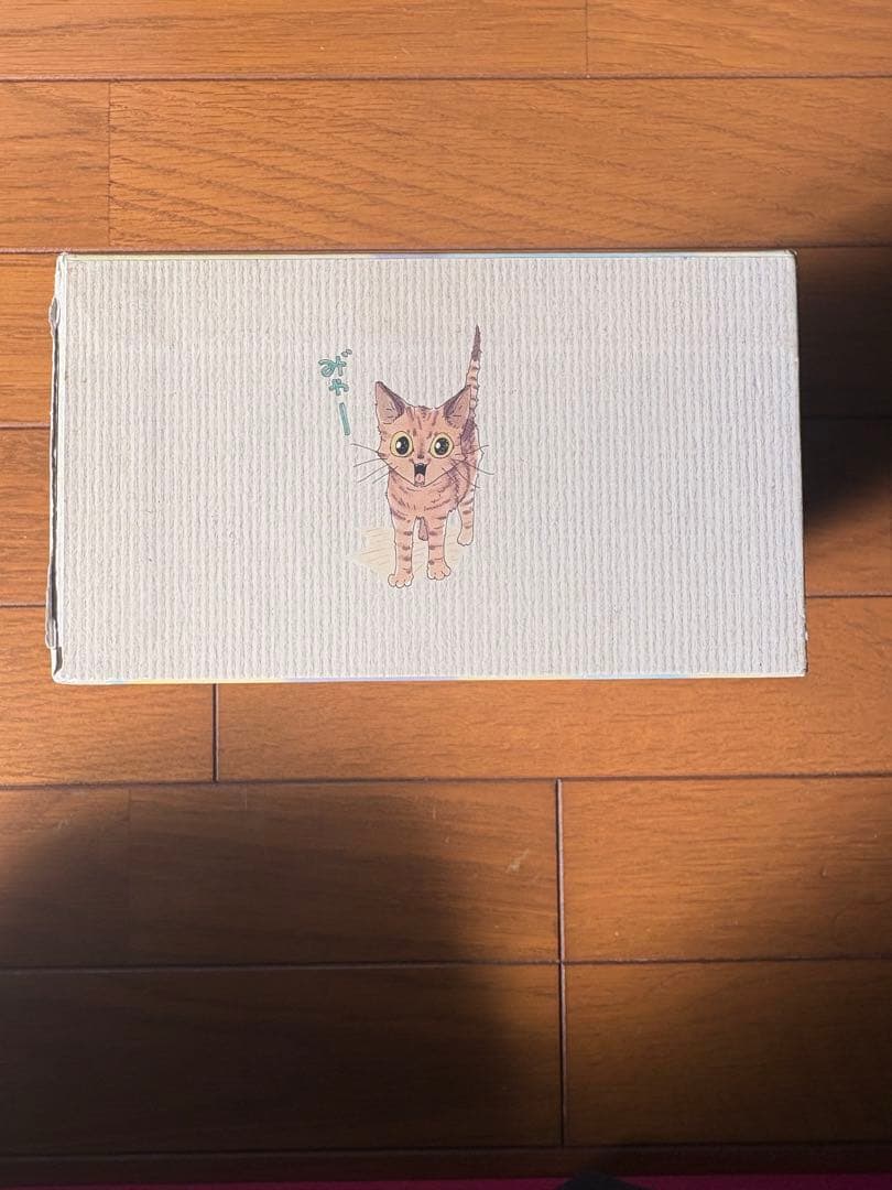 DVD 新やっぱり猫が好き Vol.1~5ボックスセット