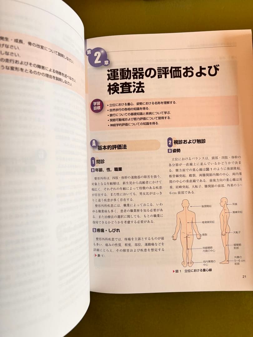 PT OT 精神障害学・作業療法学