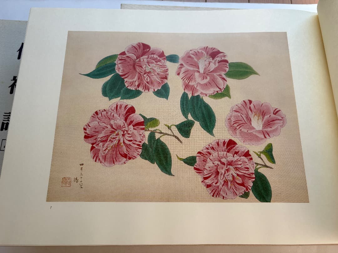 傳神譜　中村岳陵　4冊　写生画集　10.2kg 大型本画集　日本画　絵画