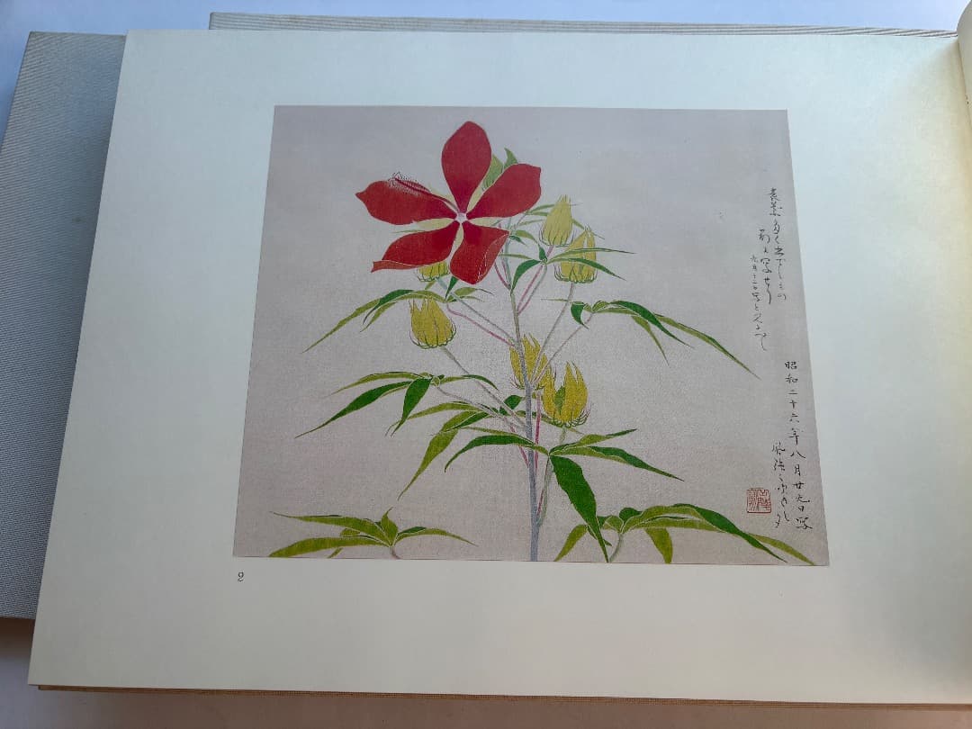 傳神譜　中村岳陵　4冊　写生画集　10.2kg 大型本画集　日本画　絵画